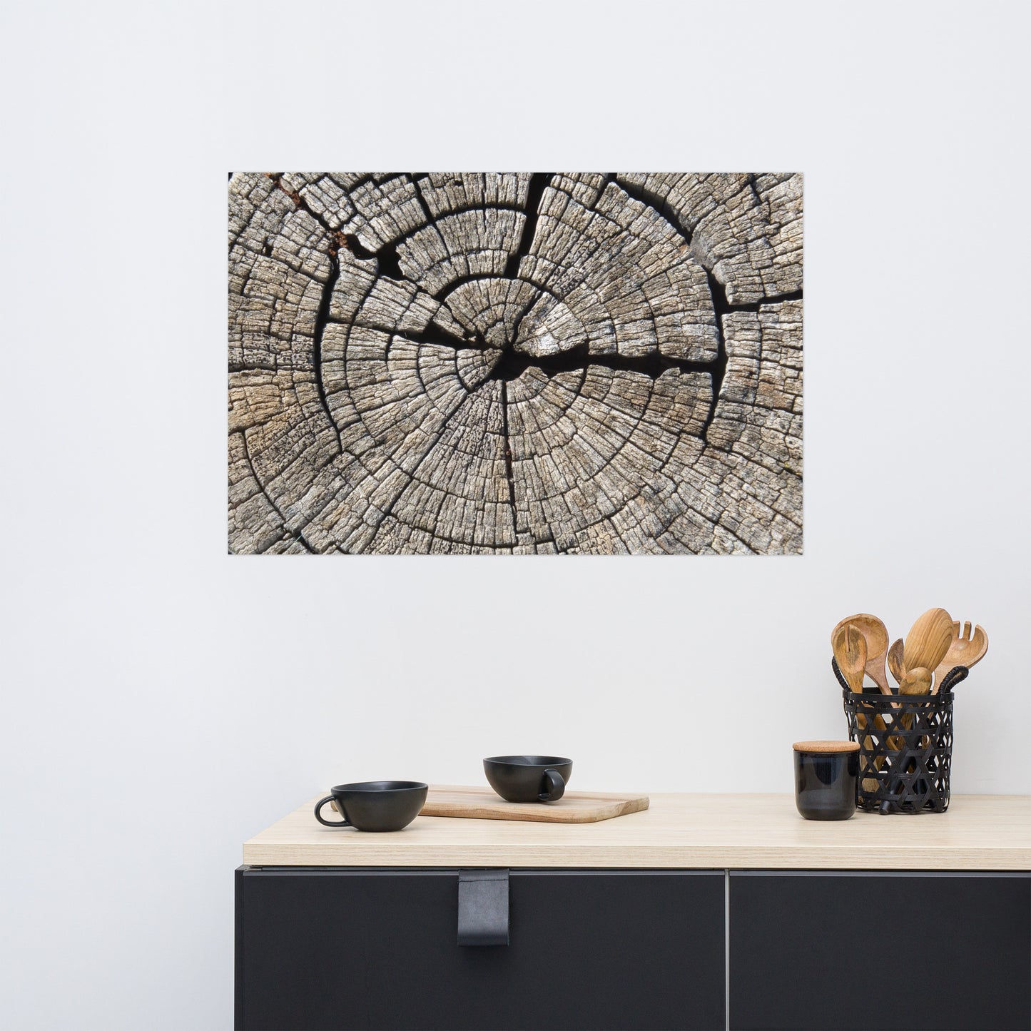 Baum Lebensringe brüchig auf mattem Poster/ tree life rings brittle on matte poster