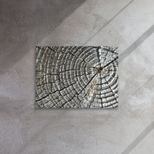 Baum Lebensringe auf Leinwand/ tree life rings canvas